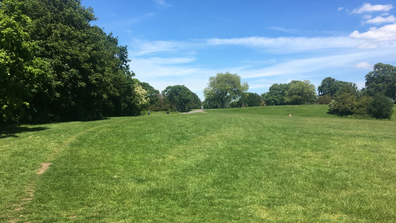 Mountsfield Park, Catford